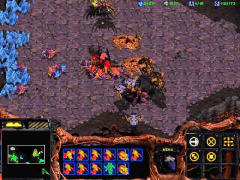 Let's Play Starcraft: Brood War - Part 23