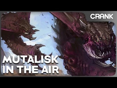 Mutalisk in the air - Crank's variety StarCraft 2