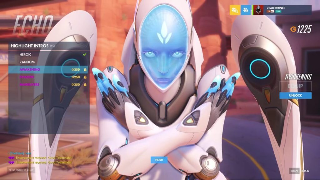 OVERWATCH CHARACTER REVIEW (ECHO Review)