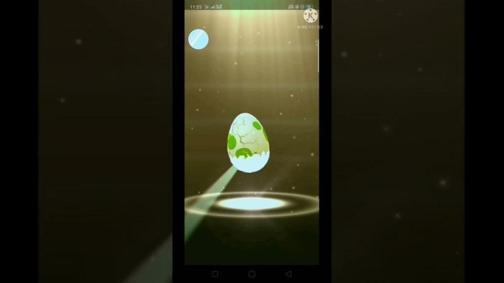 POKEMON GO EGG HATCH