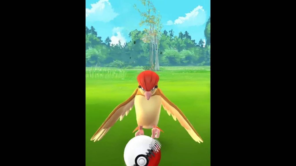 Pokemon Go Pidgeotto