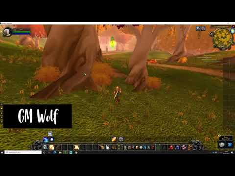 Saltherils Hafen | WoW TBC Horde Quest | GM Wolf | WoW TBC Classic