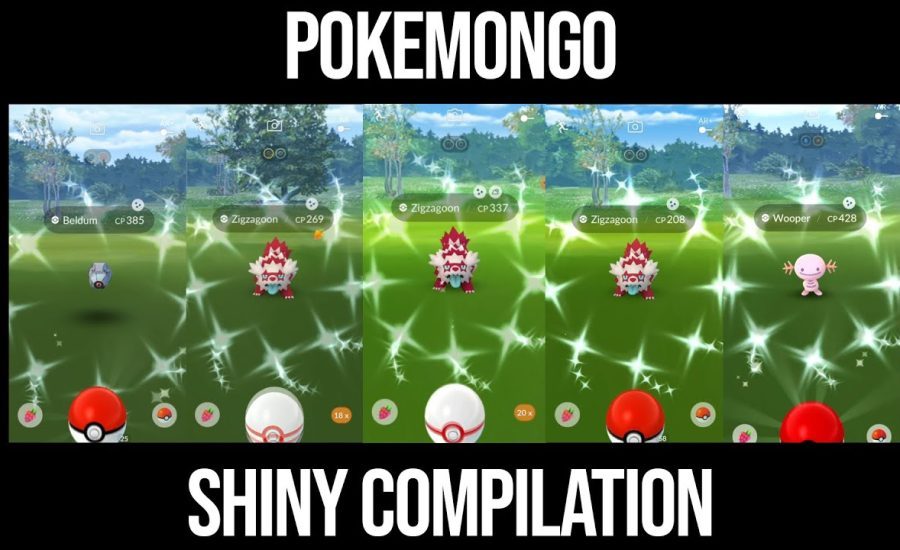 Shiny Galarian Zigzagoon Has Appeared! - Pokemon GO Shiny Compilation #267