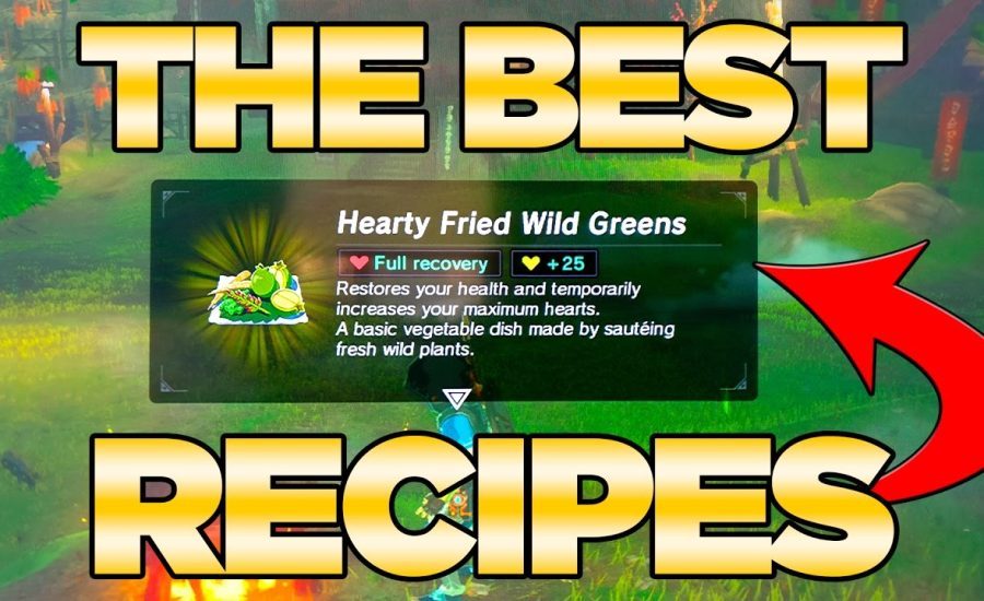 THE BEST Recipes GUIDE in Breath of the Wild - Best Dishes Cooked| Austin John Plays