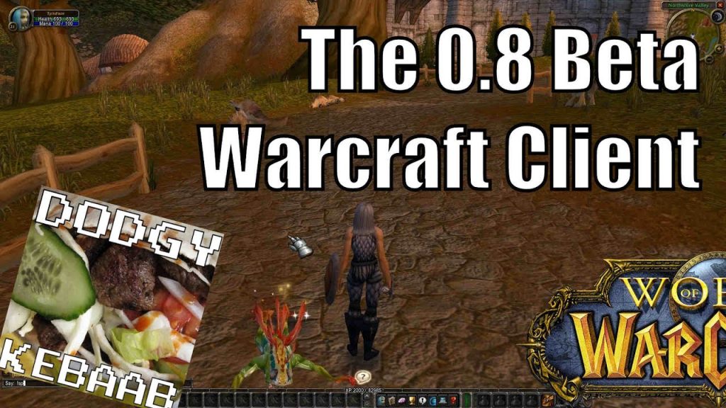 The 0.8 World of Warcraft Beta Client