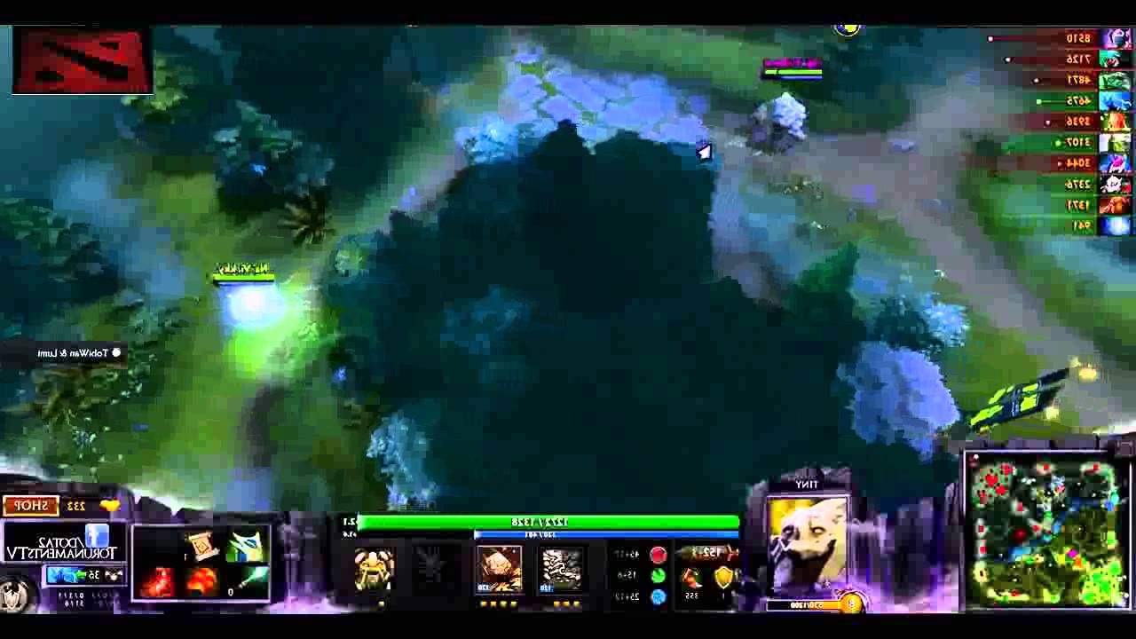 The International Dota 2 2014   NewBee VS Na'Vi Full Game