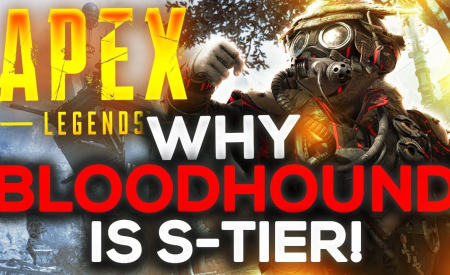 This is Why Bloodhound is S Tier! Apex Legends Gameplay! (Season 8)