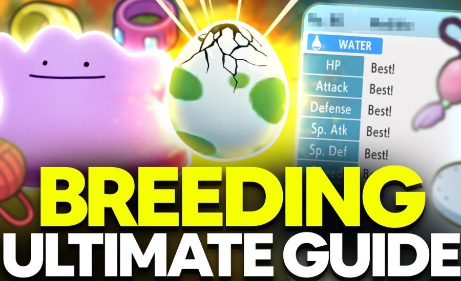ULTIMATE Breeding Guide: Perfect IVs, Natures, Egg Moves | Pokemon Brilliant Diamond & Shining Pearl