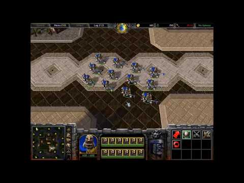 Warcraft 3 Classic: Royal Guard