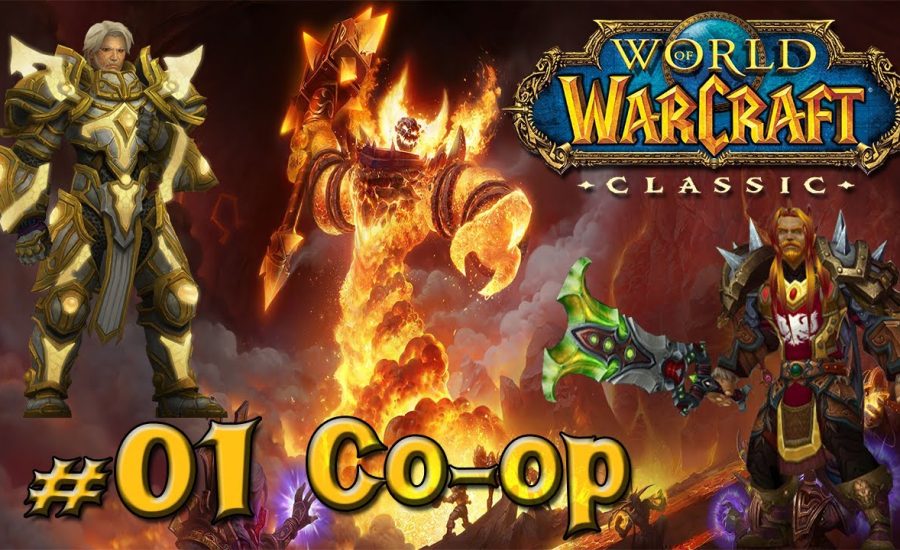 Wow Classic Road To 60 - co op Paladin/Warrior  #01