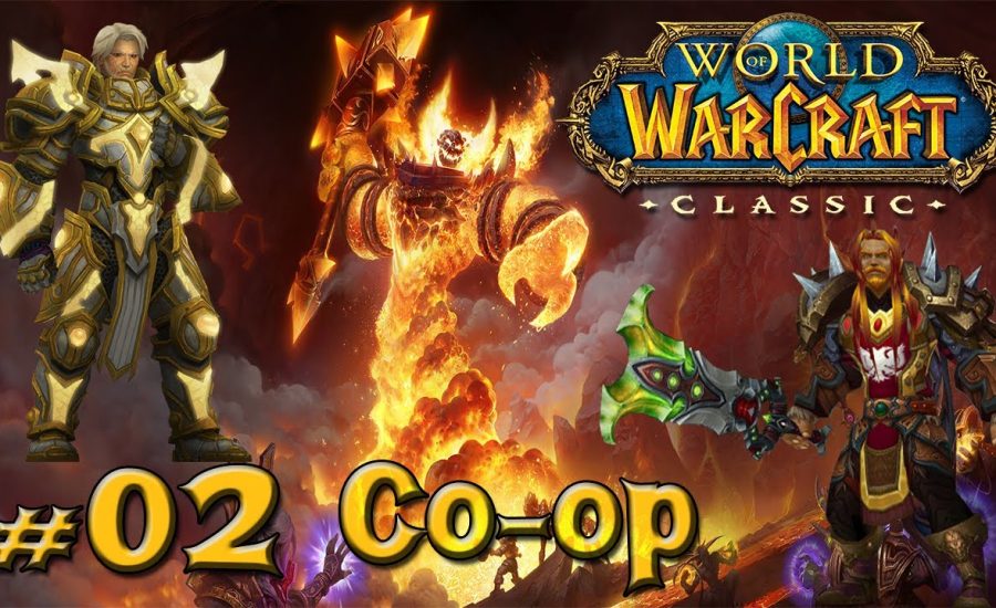 Wow Classic Road To 60 - co op Paladin/Warrior  #02