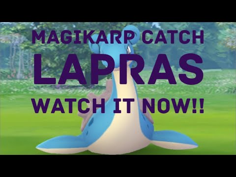 what is catch assist? || How do you fight in Master League Pokemon|| pokemon go