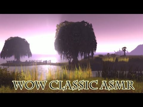 wow classic Game Asmr_healing1 #asmr #wowclassic #wow_asmr