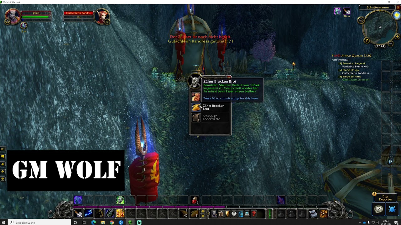 Blutelfenspionage | WoW TBC Allianz Quest | GM Wolf | WoW TBC Classic