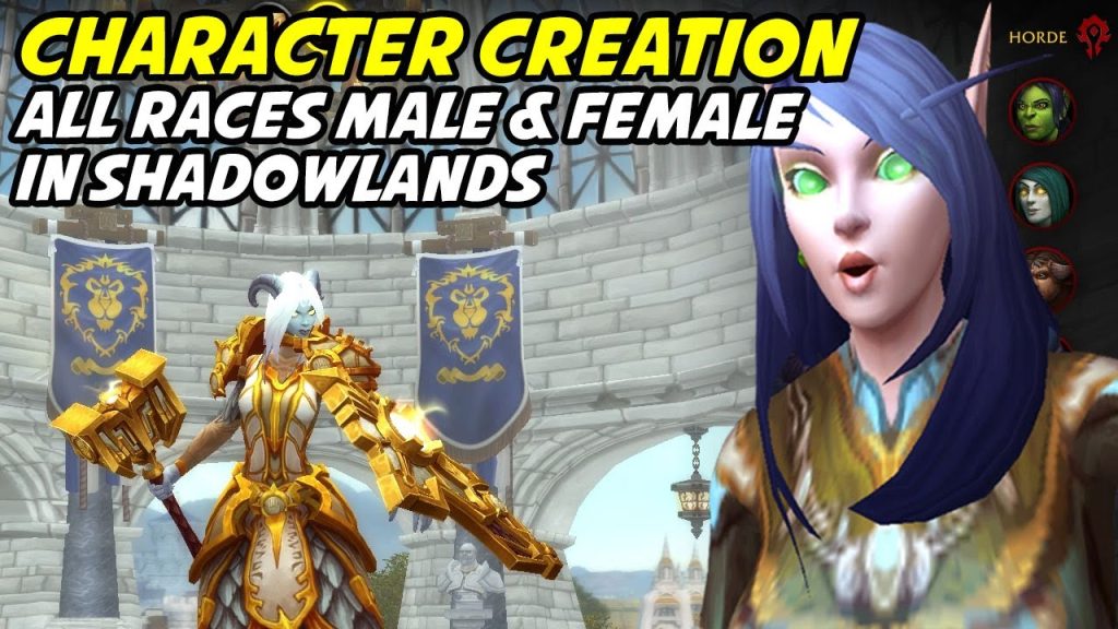 Character Creation Animations - All Races Male and Female (Shadowlands)