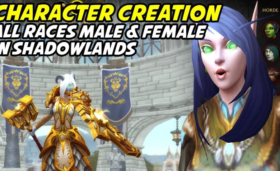 Character Creation Animations - All Races Male and Female (Shadowlands)