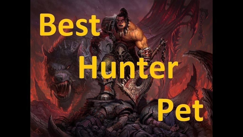 Classic WoW Best Hunter Pet
