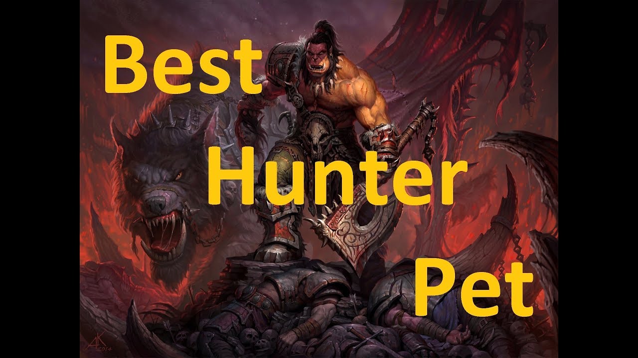 Classic WoW Best Hunter Pet