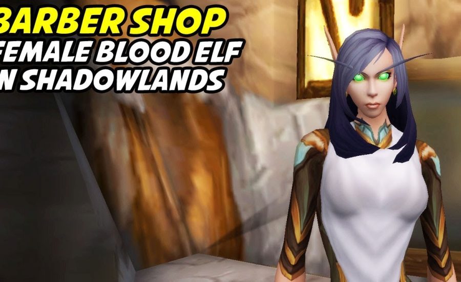 Female Blood Elf Customisations - Barber Shop (Shadowlands)