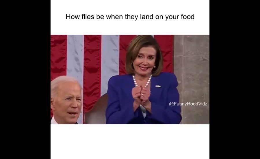 How Flies Be When They Land On Your Food. #shorts #tiktok #gaming #viral #trending #usa #uk #love