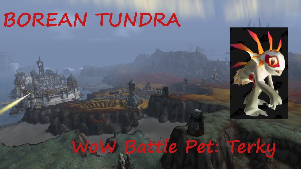 How to Obtain WoW Battle Pet - TERKY