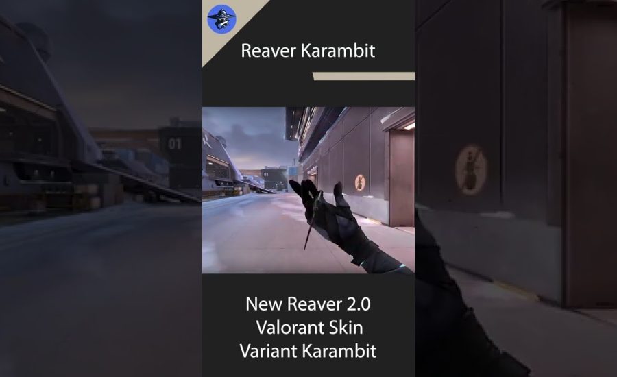 NEW!!! Reaver Karambit Variant Colors - Reaver 2.0 Knife (Valorant New Skins)