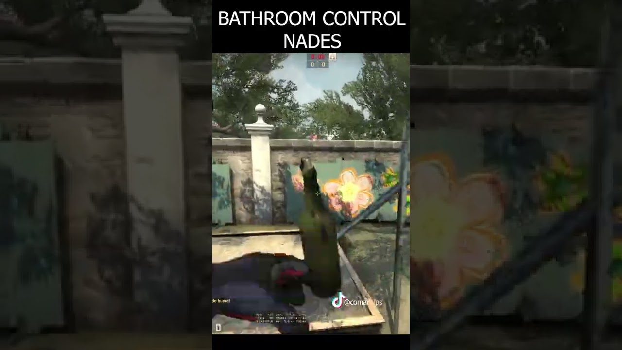 OVERPASS TT BATHROOM CONTROL NADES from PARK.     #shorts #csgo #csgoclips #csgohighlights #csgotips