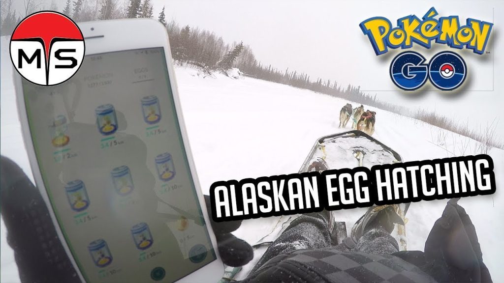 POKEMON GO | Hatching Eggs Alaskan Style