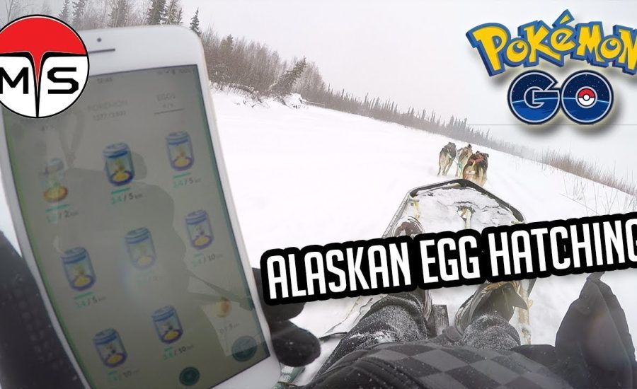 POKEMON GO | Hatching Eggs Alaskan Style