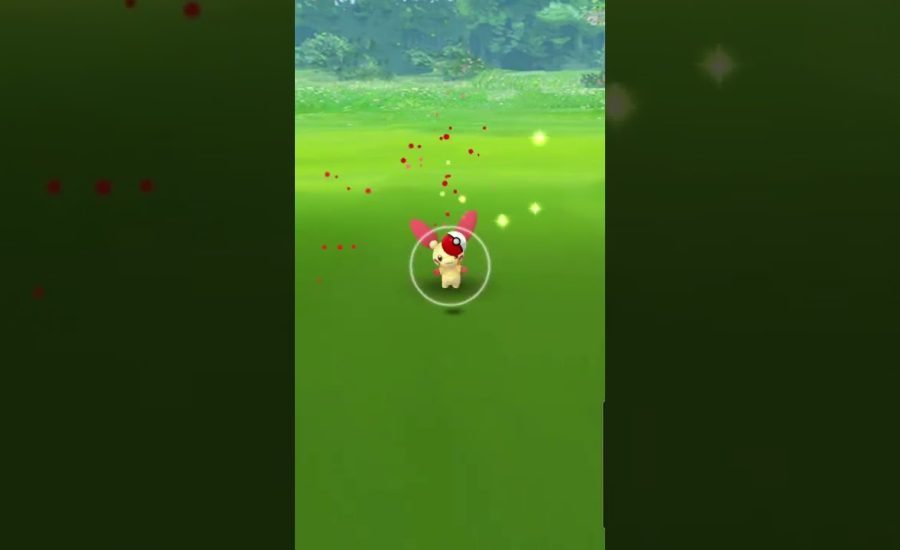 Pokemon Go Catching A Plusle!