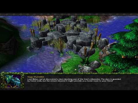 Warcraft III Episode 43: The Brothers Stormrage