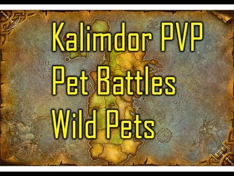 Wild caught Kalimdor PVP pet battles