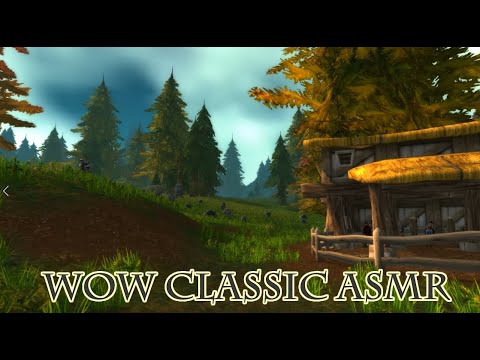 wow classic Game Asmr_healing2 #asmr #wowclassic #wow_asmr
