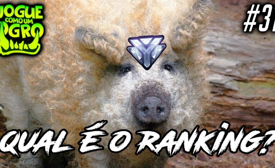 CLASSIFIQUE ESTE ANIMAL #31 - QUAL SEU RANKING NO OVERWATCH?