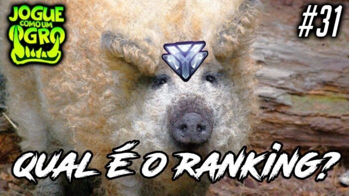 CLASSIFIQUE ESTE ANIMAL #31 - QUAL SEU RANKING NO OVERWATCH?