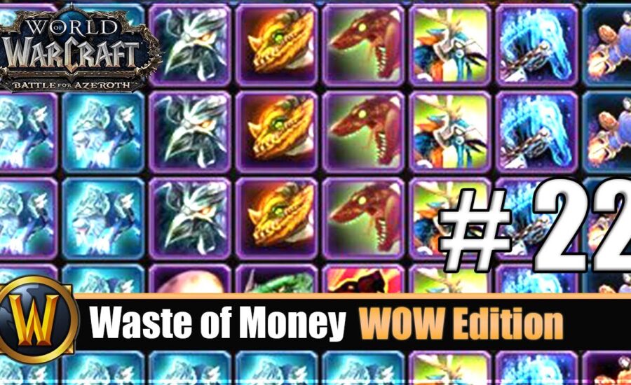 Waste of Money WOW Edition #22