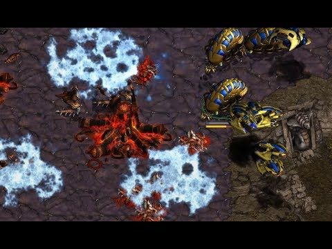 Jaedong (Z) v Mini (P) on Third World - StarCraft - Brood War REMASTERED