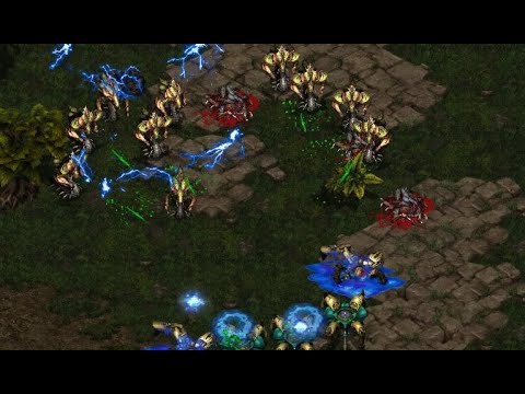 Bisuuuuuuuuuu! (P) vs Jaeeeeeeeeedong! (Z) on Neo Sylphid - StarCraft - Brood War