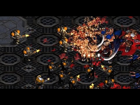 Flash! Jaedong! Andromeda! - StarCraft - Brood War REMASTERED