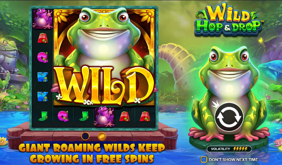 Play Wild Hop & Drop® Free Game Slot by Pragmatic Play