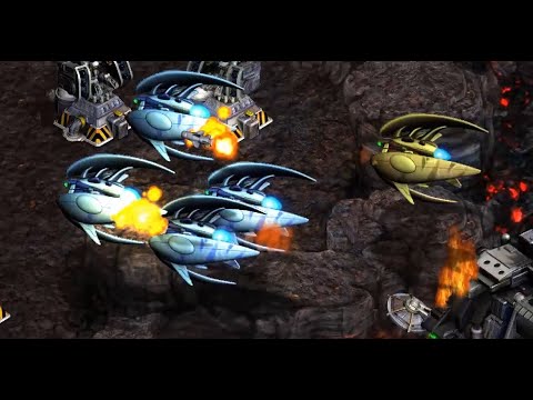 Ample (T) v Rain (P) on Cross Game - StarCraft - Brood War 2021