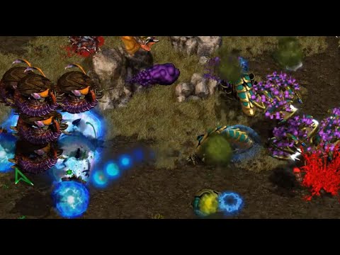 WEIRDFUN EPIC - Best (P) vs herO (Z) on Third World - StarCraft - Brood War 2021