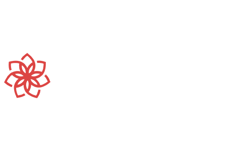 Casinochan Casino Review and Bonus