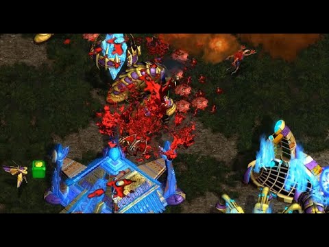 EPIC - Mini (P) vs Queen (Z) on Bloody Ridge - StarCraft - Brood War