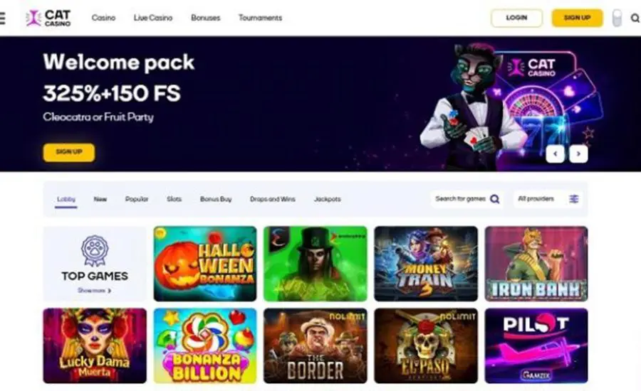CatCasino Review