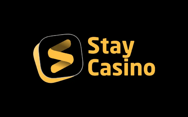 StayCasino Review - Premier Online Gaming Platform