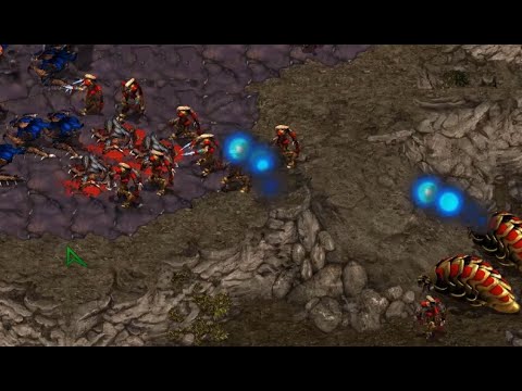 CASTERMUSE STARLEAGUE - Action (Z) v Snow (P) Best of 3 - StarCraft - Brood War 2020