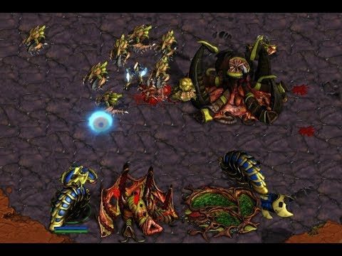 EPIC - AKARAKA (Z) v SkilletMaster (P) on Colosseum 2 - StarCraft  - Brood War REMASTERED