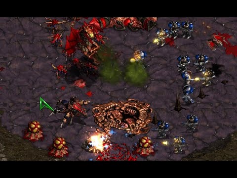 FLASH IS BACK! RECENT MATCH vs JAEDONG! on Polypoid - StarCraft - Brood War - 2023