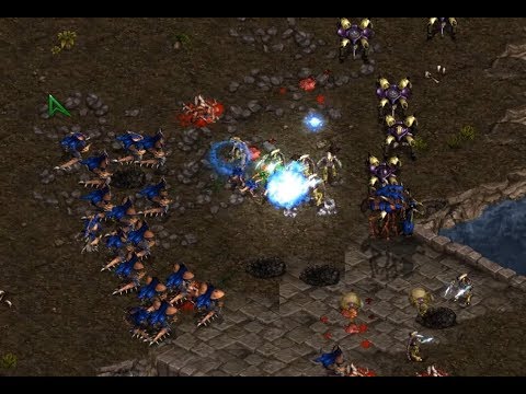 Jaedong (Z) v Pure (P) BEST OF 5 - StarCraft  - Brood War REMASTERED